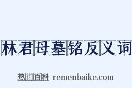 林君母墓铭反义词是什么意思的图片